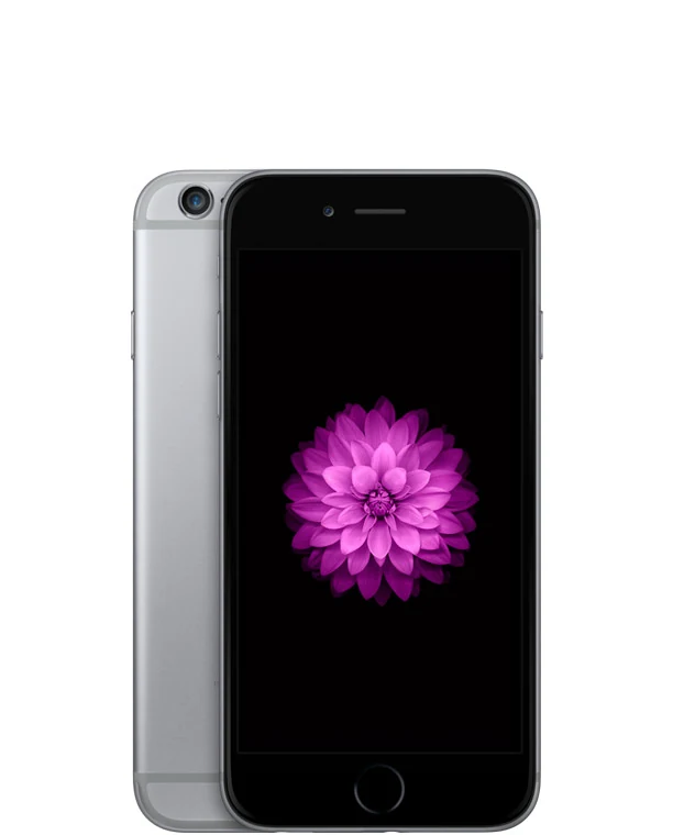 iPhone 6, Vorder- und Rückseite
