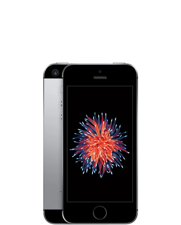 iPhone SE (2016), Vorder- und Rückseite